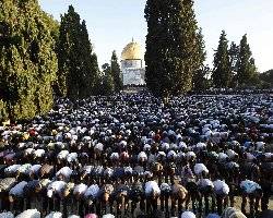 Honoring the Ordinances… Even While Sleeping - II