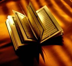 The Concise Presentation of the Fiqh of the Sunnah and the Noble Quran