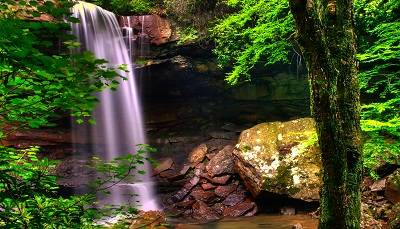 Saffaanah bint Haatim At-Taa