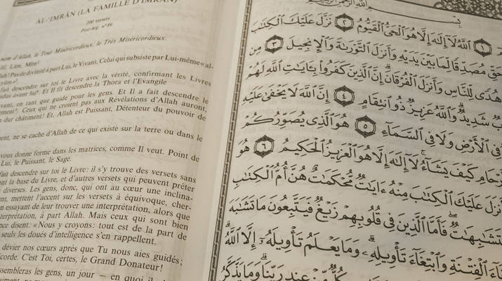 ترجمة معاني القرآن الكريم إلى اللغة التركية