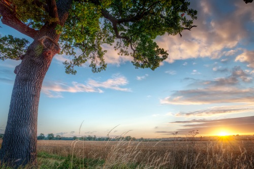  Having Haya’ (Modesty) as Due for Allah