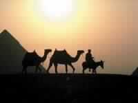 رحلات العلماء ودورها في حفظ الحديث