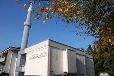 Swiss minaret ban gains momentum 