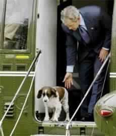 Bush Approves Military Trial for Guantanamo Prisoners