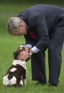 Washington Rejects Independent Counsel for Leak