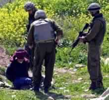 Five Palestinians Shot Dead by Israeli Troops