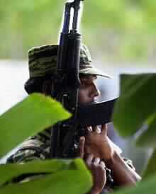 Tigers Launch Bid to Remove Karuna