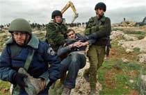 Israel Arrests US Peace Activist