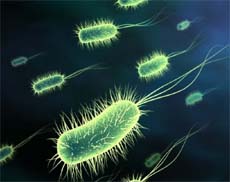 Evolutionary claims about antibiotic resistance and immunity