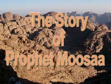 The story of Prophet Moosaa -VII