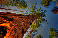La educación de las jóvenes: de las abuelas a las nietas
